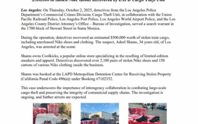 Stolen Nike Goods & the Impact on Resellers